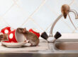 Cómo puedes saber si hay ratones y ratas en casa